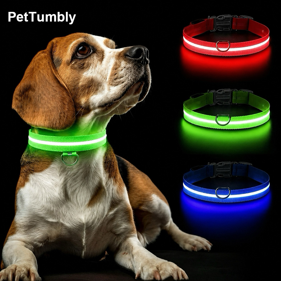 Tech Dog Accessories - 3가지 모드 애완견 발광 충전식 목줄