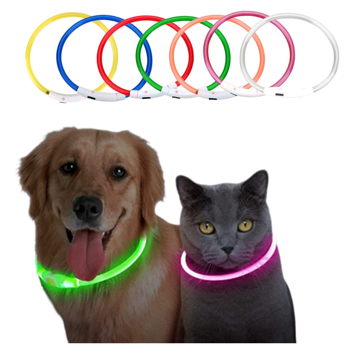 Tech Dog Accessories - Led 라이트 개 목걸이 분리형 빛나는