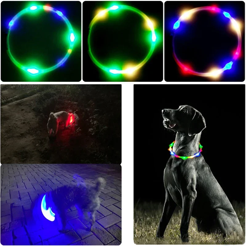 3 가지 모드 개 Luminou 충전 칼라 Led Us - Tech Dog Accessories 리뷰 및 가격