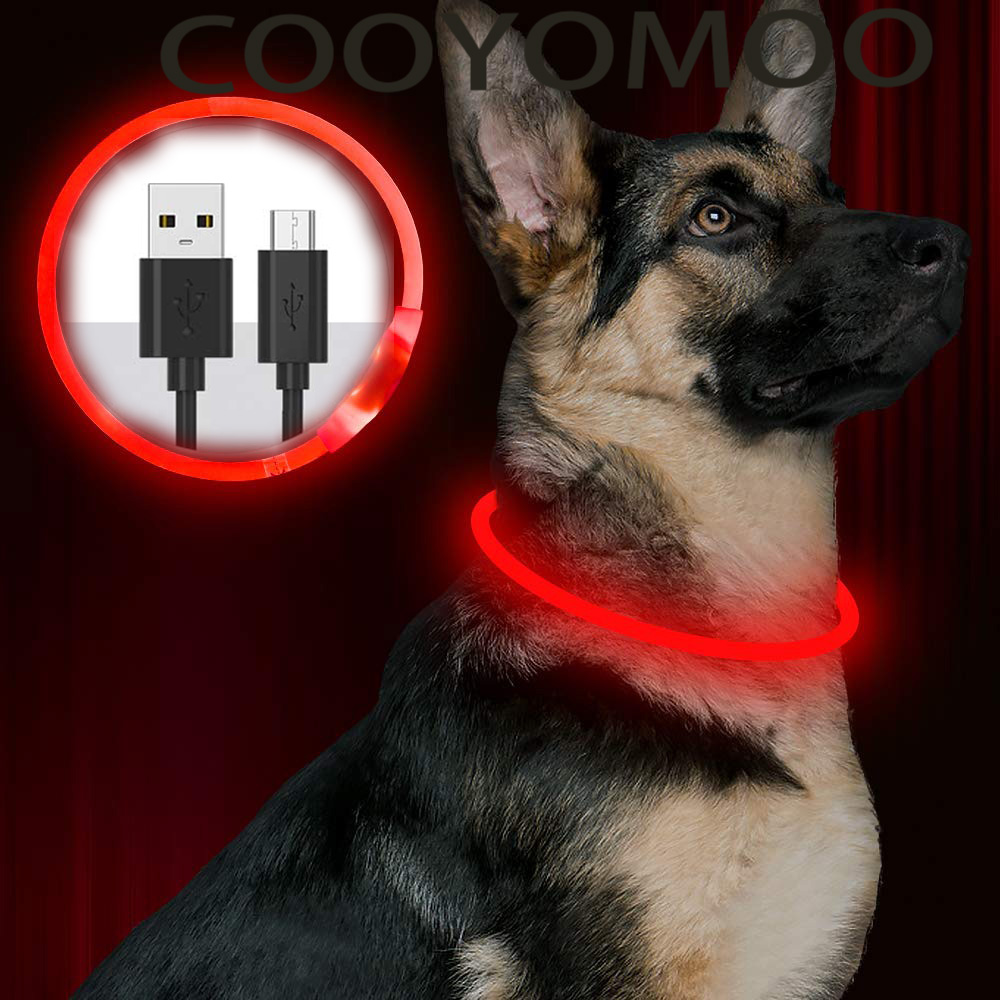 실리콘 LED 개 목걸이 충전식 4가지 작동 모드 가볍 - Tech Dog Accessories 리뷰 및 가격