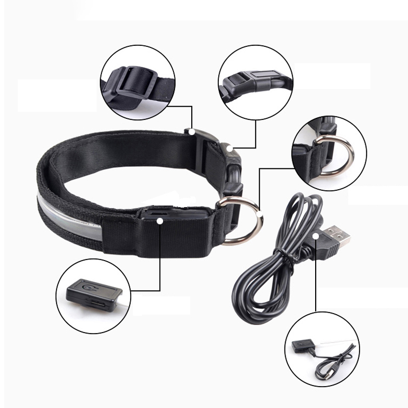 새겨진 ID LED 개 목걸이 빛나는 USB 사용자 정 - Tech Dog Accessories 리뷰 및 가격